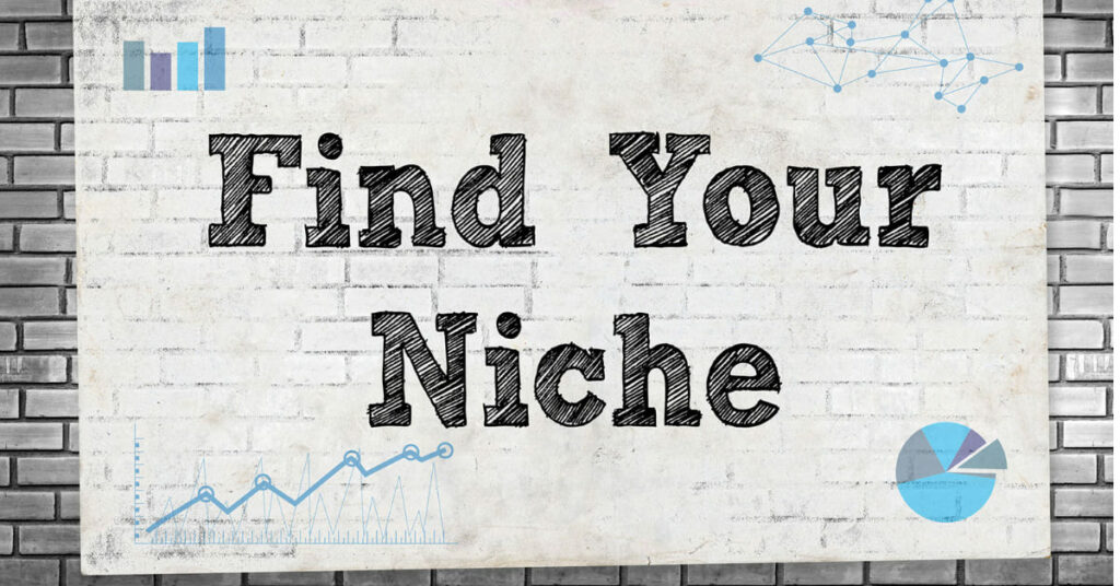  choose a niche